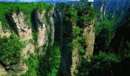 张家界跟团爆料视频,真实体验与幕后花絮大曝光